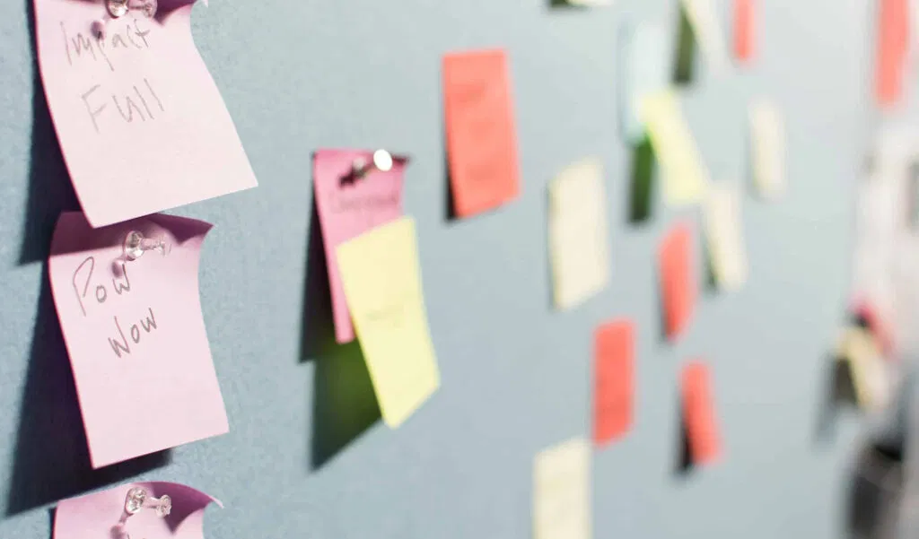 The Many Faces of Agile image