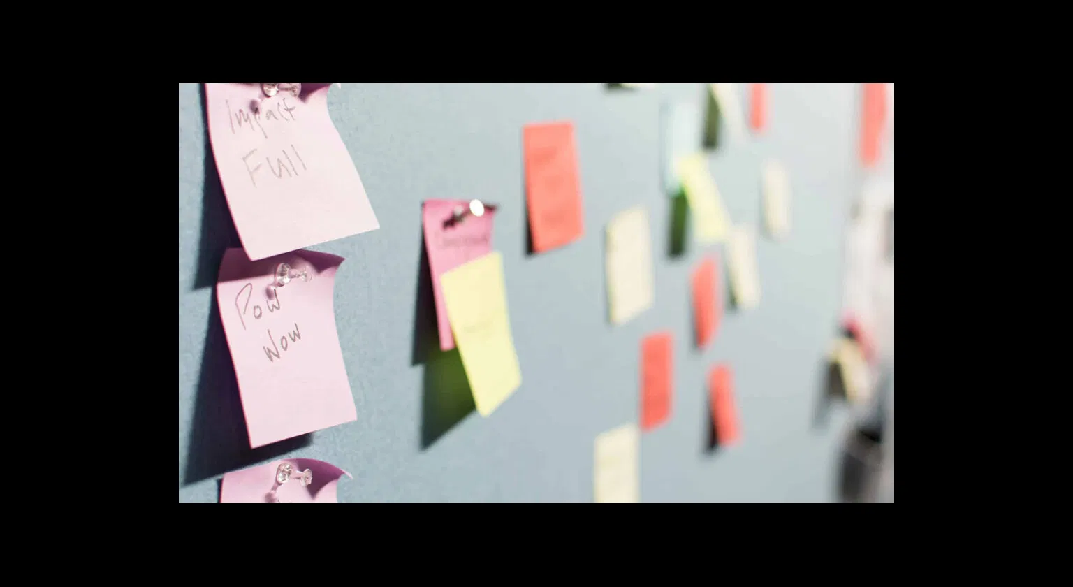 The Many Faces of Agile image