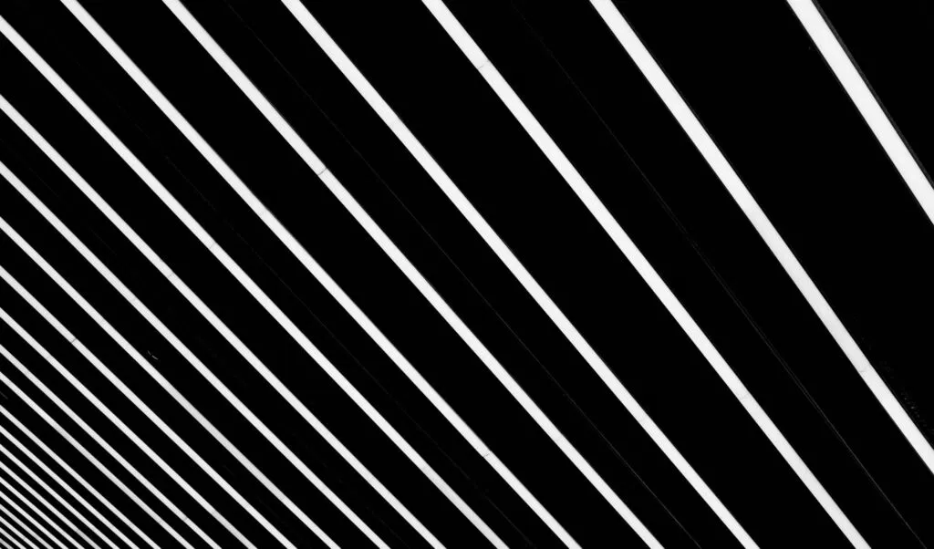 A Signal From the Noise image