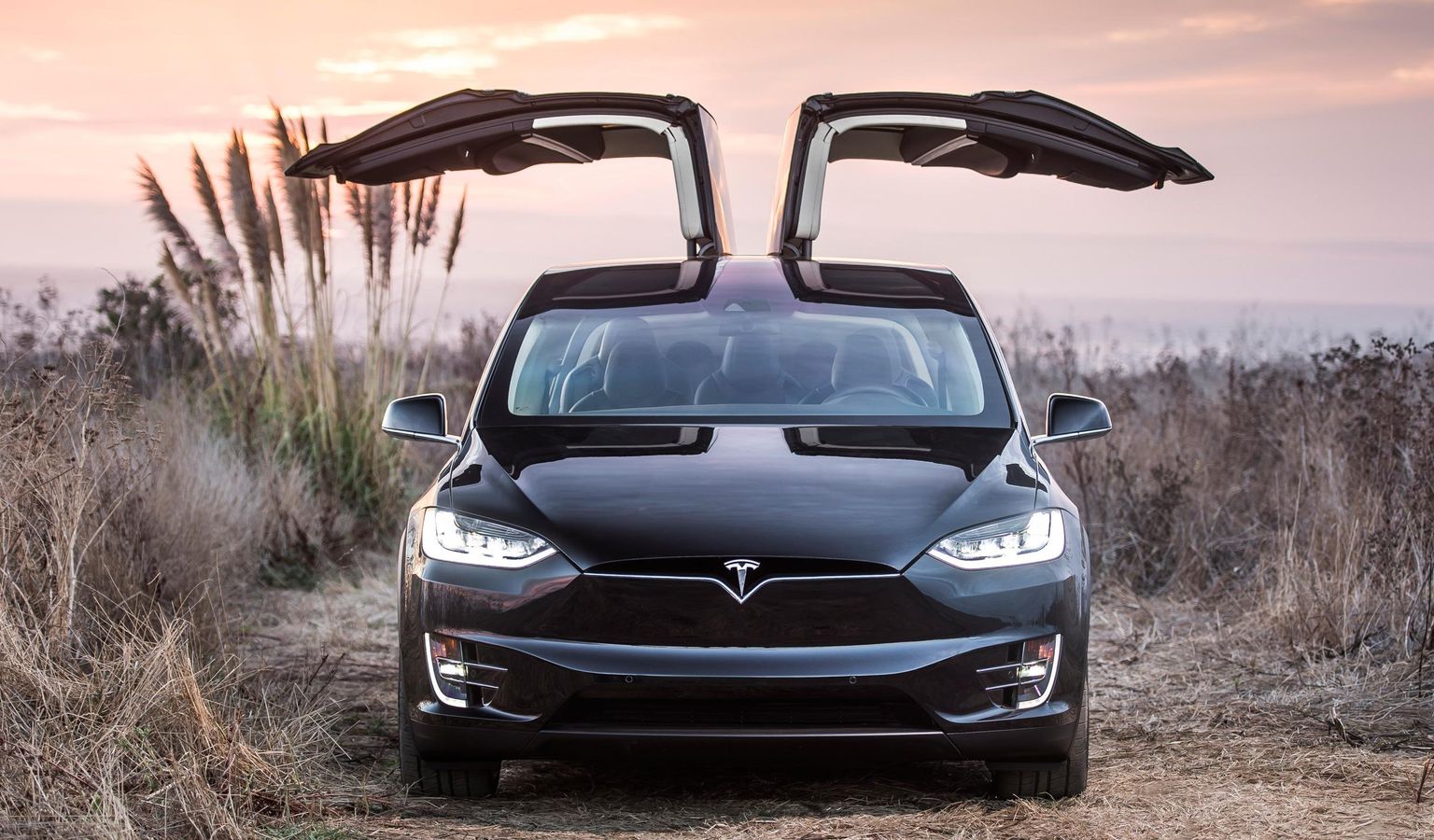Tesla Model X Falcon Doors