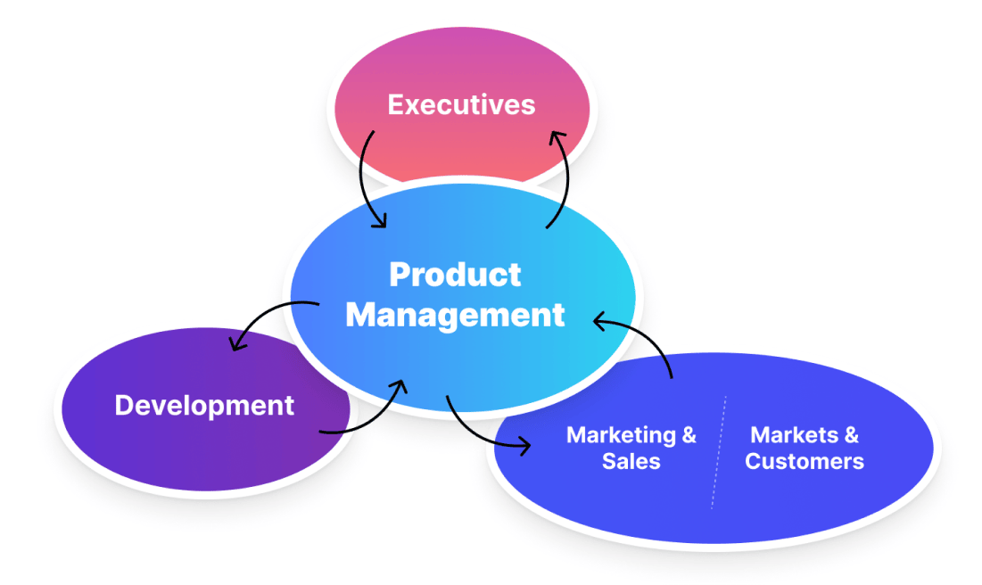 A hub-and-spoke diagram with 'Product Management' in the center (blue), connected to four nodes: Executives (pink), Development (purple), Marketing & Sales (blue), and Markets & Customers (blue). Arrows indicate relationships between all components.